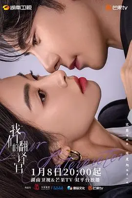 《我们的翻译官》：当爱情遭遇专业壁垒，职场情侣的甜蜜与挑战