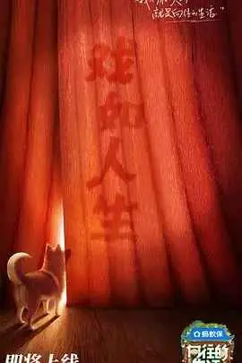 《向往的生活8》治愈回归：解锁乡村慢生活，体验田园诗意，感受自然生态的魅力！